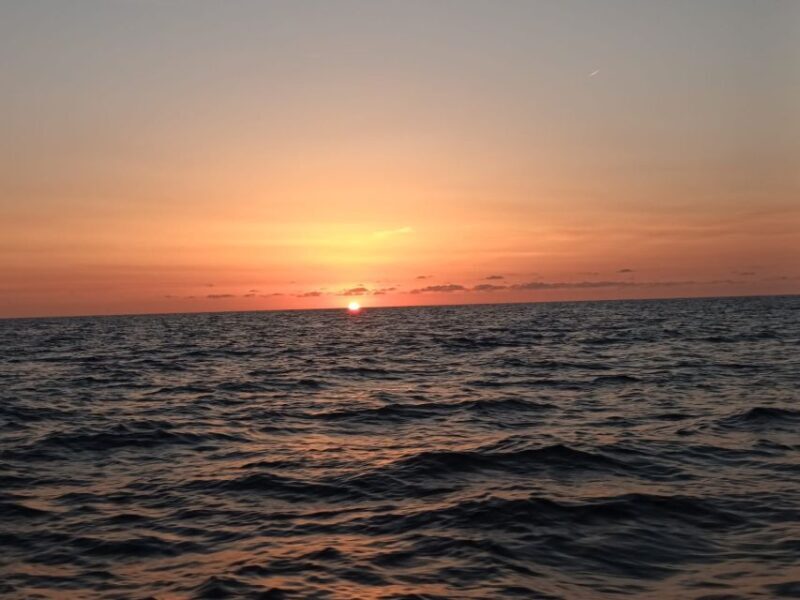 Can Picafort: Dolphin Watching Boat Tour, Swimming stop - Who Is This Tour Best For?