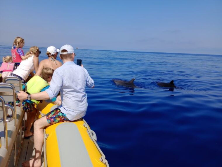 Can Picafort: Dolphin Watching Boat Tour With Swimming - Guided Tour in Multiple Languages