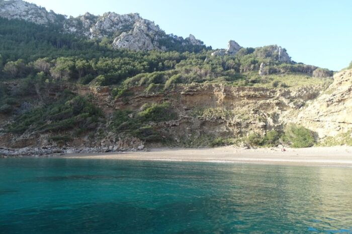 Can Picafort: Dolphin Watching Boat Tour With Swimming - Meeting Point and Directions