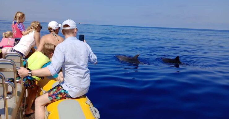 Can Picafort: Dolphin Watching Boat Tour With Swimming - Experience Highlights