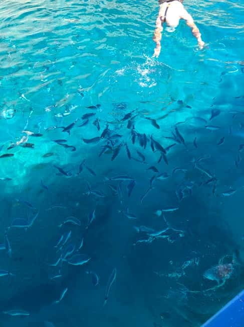 Can Picafort or Alcudia: Private boat - Practical Details: What You Need to Know