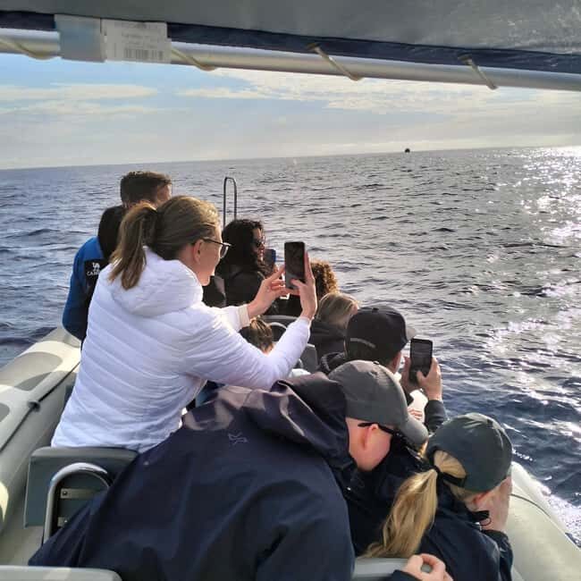 Can Picafort or Alcudia: Private boat - In The Sum Up