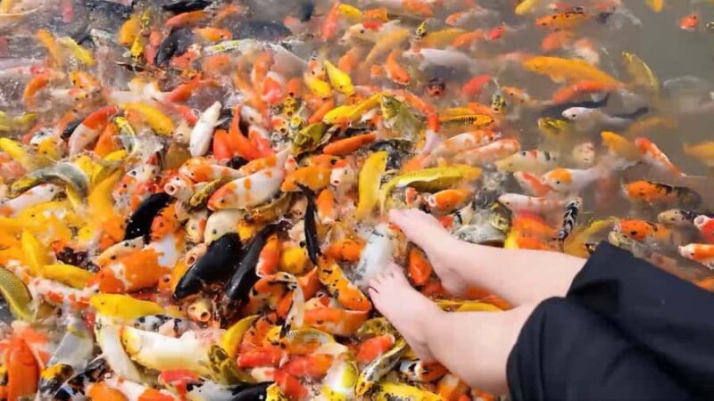 Can Tho: Con Son Islet Tour & Local Cake Making - Good To Know