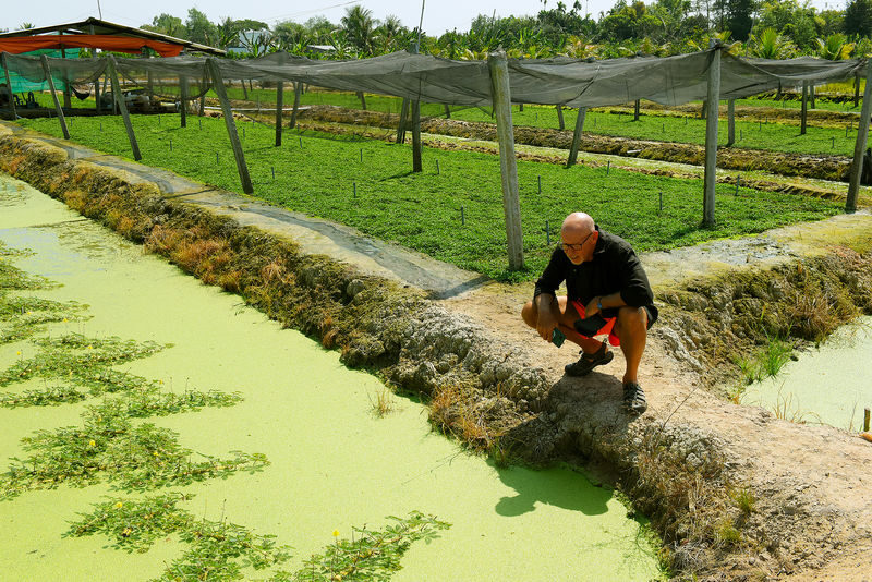 Can Tho Countryside Half-Day Tour By Bike - The guide can shape the day