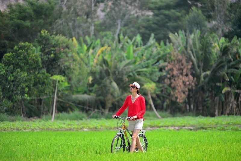 Can Tho Countryside Half-Day Tour By Bike - Who will enjoy this half-day