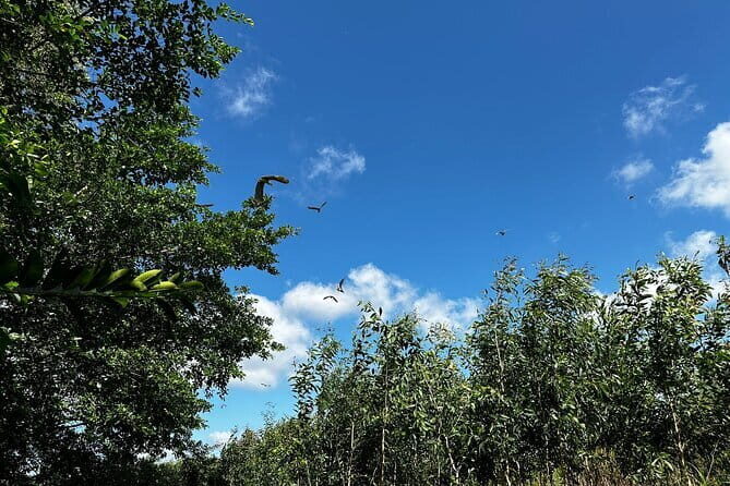 Can Tho: Explore Craft Village & Lung Ngoc Hoang Nature Reserve - Good To Know