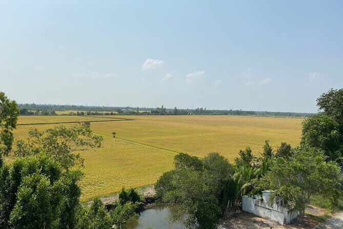 Can Tho: Explore Craft Village & Lung Ngoc Hoang Nature Reserve - A Detailed Look at the Experience