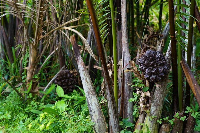 Can Tho Floating Market and Fruit Garden Tour - Who Will Enjoy This Tour Most?
