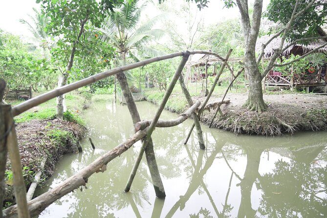 Can Tho Floating Market and Fruit Garden Tour - Final Thoughts: Is This Tour Worth It?