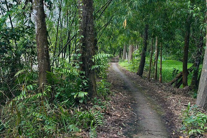 Can Tho: Lung Ngoc Hoang Nature Reserve & Hidden Forests - Final Thoughts