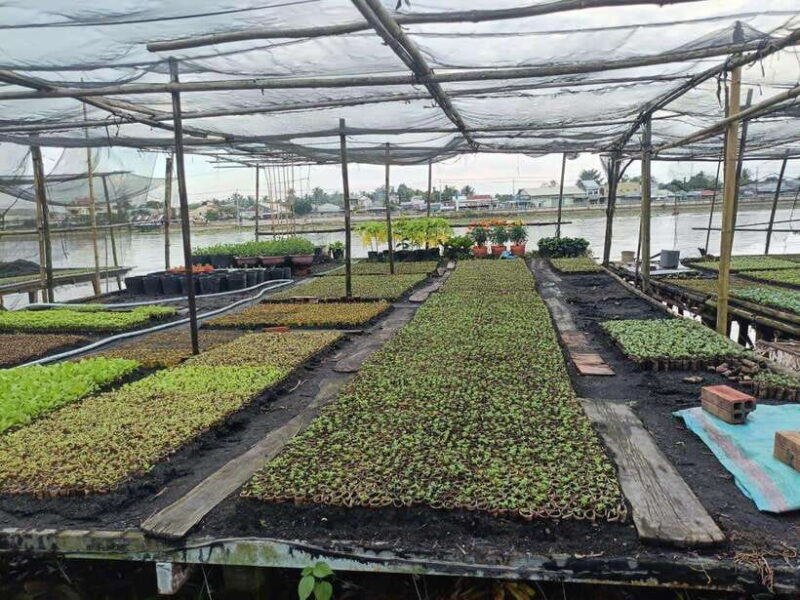 Can Tho: Small Canal and enjoy Sunet on Can Tho river - FAQ