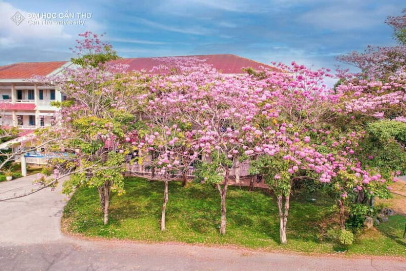 Can Tho: University Tour with Tasting & Sightseeing in CT - Practicalities & Tips for Making the Most of Your Tour