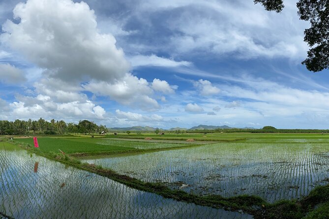 Can-Umantad Falls and Candijay Rice Terraces Eco Tour - Booking Information