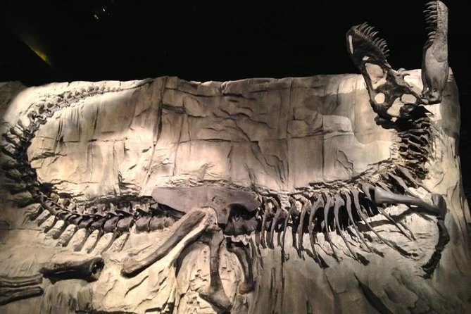 Canadian Badlands and Hoodoo Trail Full-Day Tour From Calgary - Tips and Recommendations