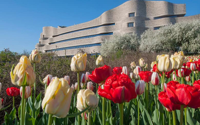 Canadian Museum of History Ticket - Reach the museum by bus, metro connection or water taxi