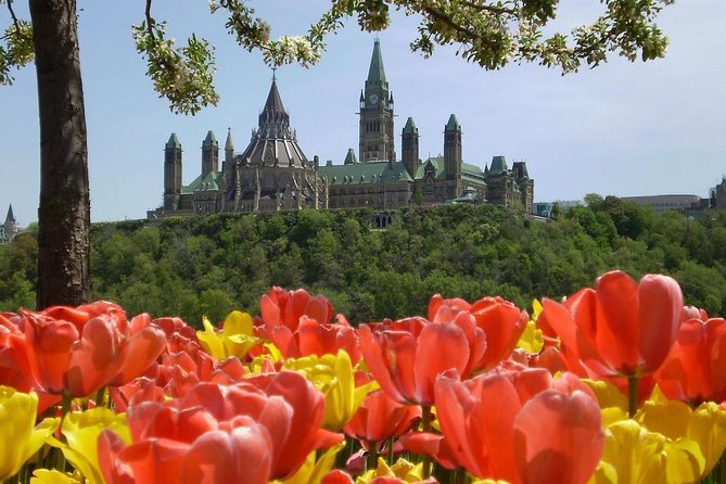 Canadian Tulip Festival-Ottawa May 12-22nd 23 Private Day Tour From Montreal - Festival Highlights