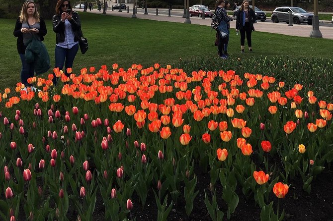 Canadian Tulip Festival-Ottawa May 12-22nd 23 Private Day Tour From Montreal - Traveler Photos and Reviews
