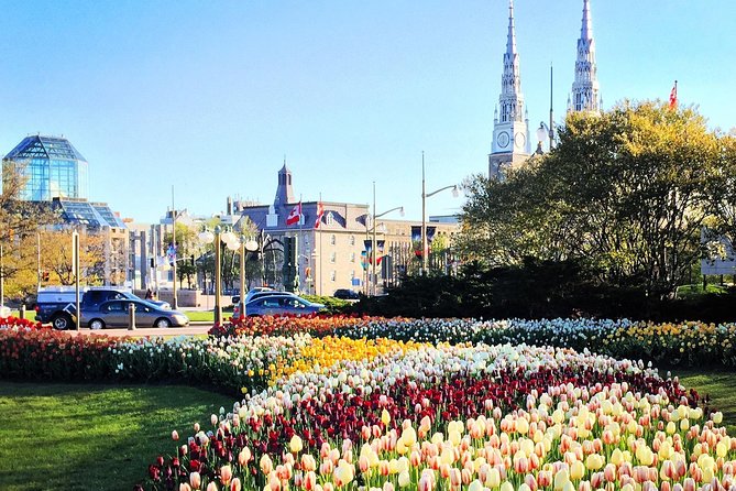 Canadian Tulip Festival-Ottawa May 12-22nd 23 Private Day Tour From Montreal - Additional Information