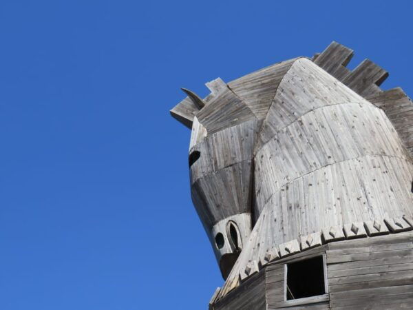 Canakkale: Full-Day Ancient Troy and Museum of Troy Tour - Pricing and Booking