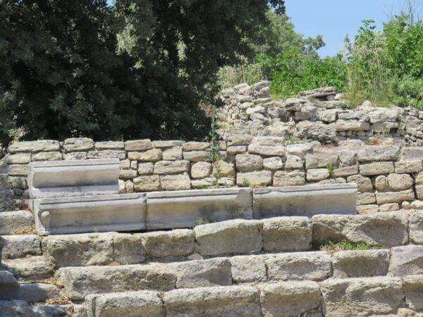 Canakkale: Full-Day Ancient Troy and Museum of Troy Tour - Customer Reviews
