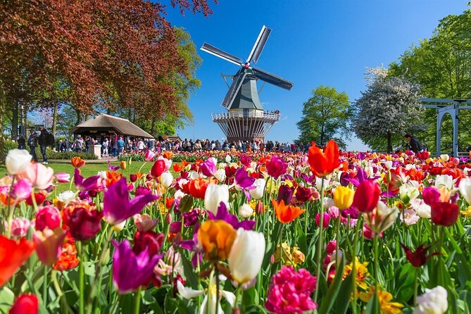 Canal Cruise & Keukenhof Ticket With Shuttle Bus in Amsterdam - Meeting and Pickup