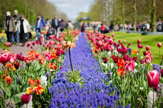 Canal Cruise & Keukenhof Ticket With Shuttle Bus in Amsterdam - Common Questions