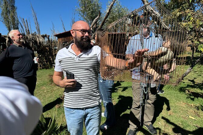 Canals Boat Tour + Doll Island + Ajolote Shrine - Final Thoughts: Is This Tour Right for You?