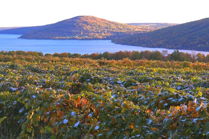 Canandaigua Wine Trail Experience - Experience Meeting Point and Duration