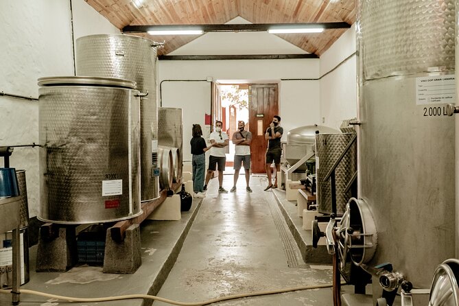Canarian Wine Experience at Bodega Los Lirios - Exploring the Stunning Surroundings