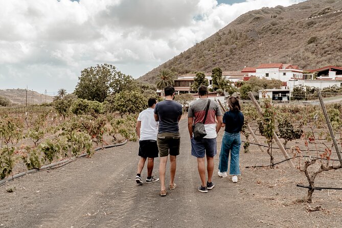 Canarian Wine Experience at Bodega Los Lirios - Indulging in Wine, Cheese, and Bread