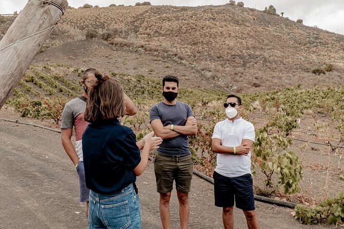 Canarian Wine Experience at Bodega Los Lirios - Common Questions