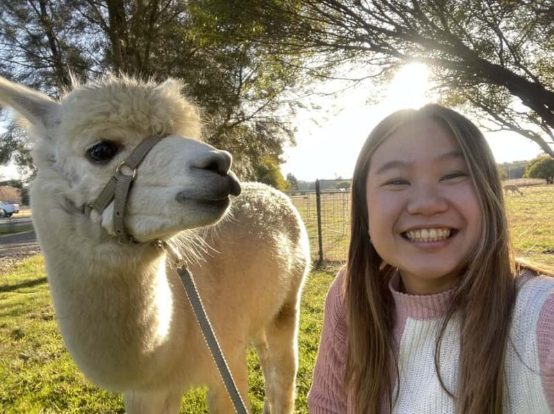 Canberra: Alpaca Adventure Farm Tour (morning tea included) - Discovering the Alpaca Adventure Farm Tour in Canberra