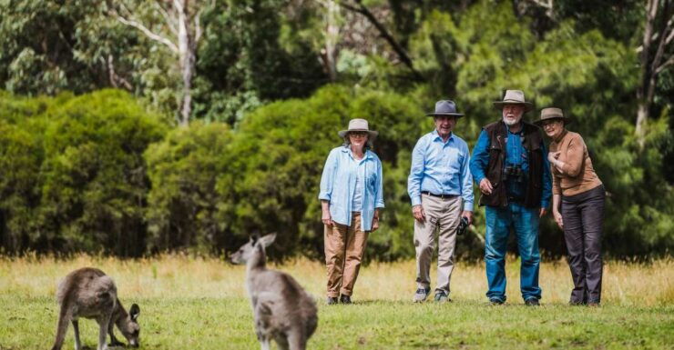 Canberra Best of Wildlife Tour - Tour Details