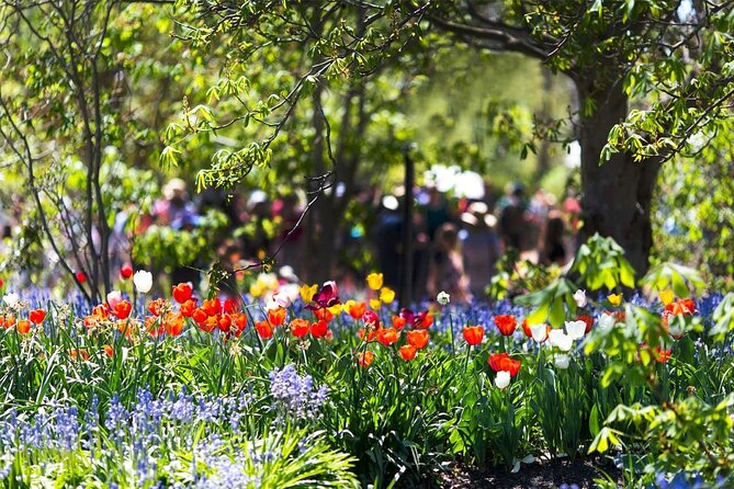 Canberra Day Trip From Sydney - Tour Experience