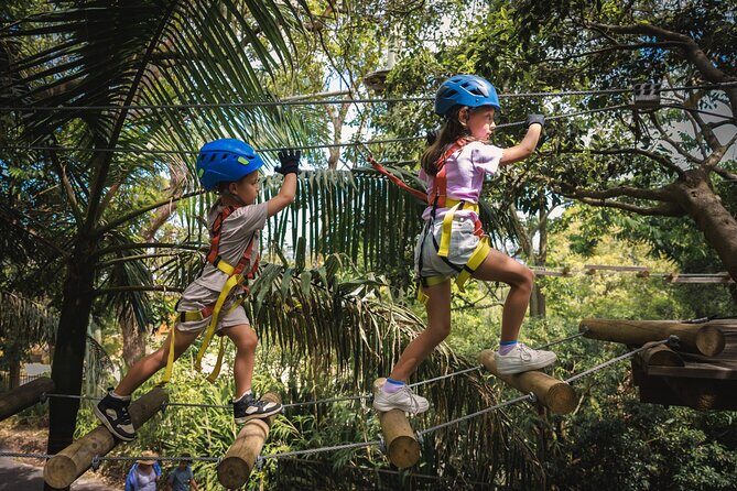 Canberra Junior Tree Ropes Course - Final Thoughts: Is It Worth It?