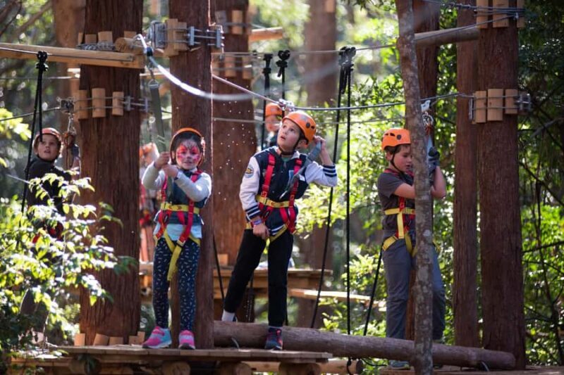 Canberra: Majura Pines Junior Tree Ropes Course - An Overview of the Experience