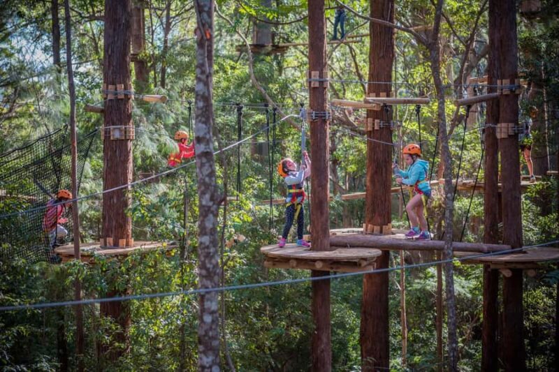Canberra: Majura Pines Junior Tree Ropes Course - What To Expect During Your Visit
