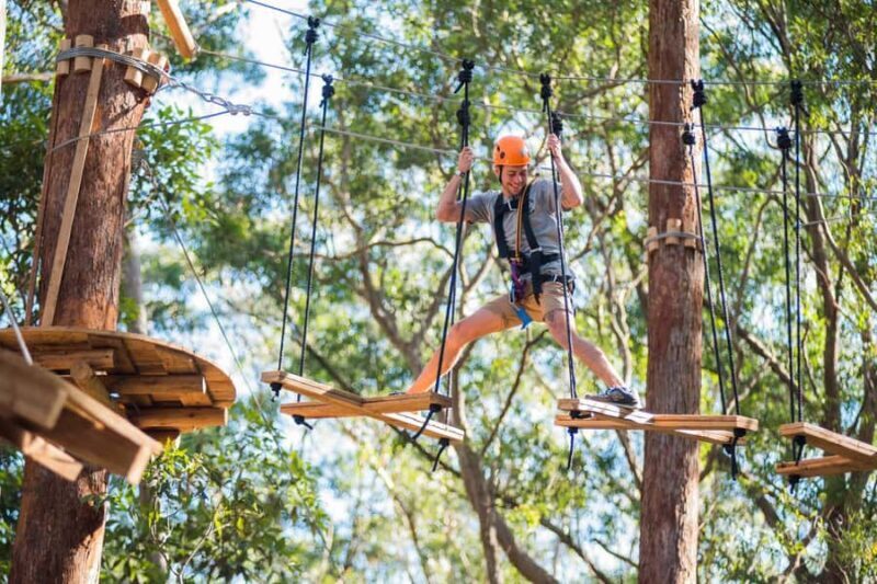 Canberra: Majura Pines Tree Ropes Course - Final Thoughts