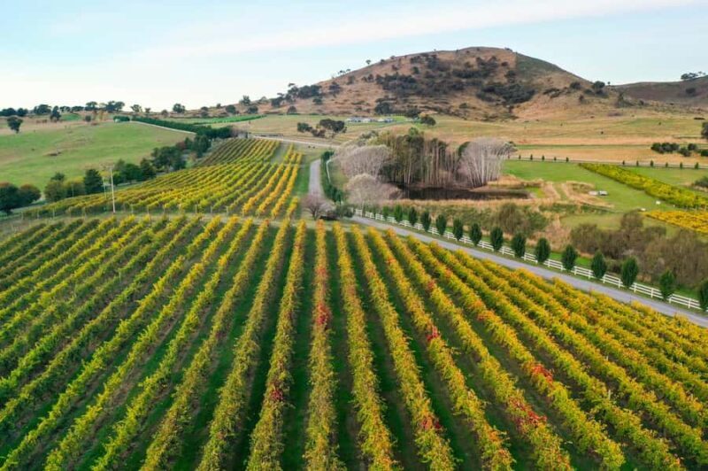 Canberra: Private Wine Discovery Tour with Lunch - Who Should Consider This Tour?
