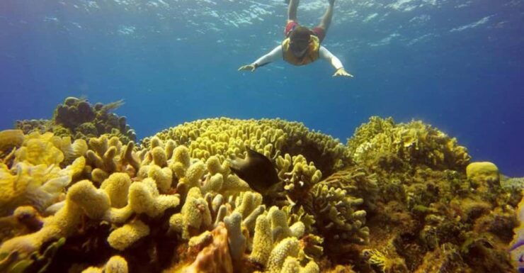 Cancun: 2 Caribbean Islands Combo Tour - Good To Know