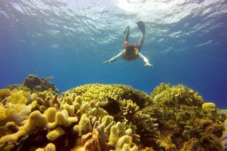 Cancun: 2 Caribbean Islands Combo Tour - Itinerary Highlights