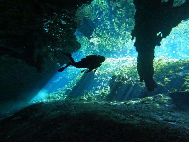 Cancun 2 Cenote Dives: The Pit + Nicte Ha - Certified Divers - The Experience Providers and Logistics