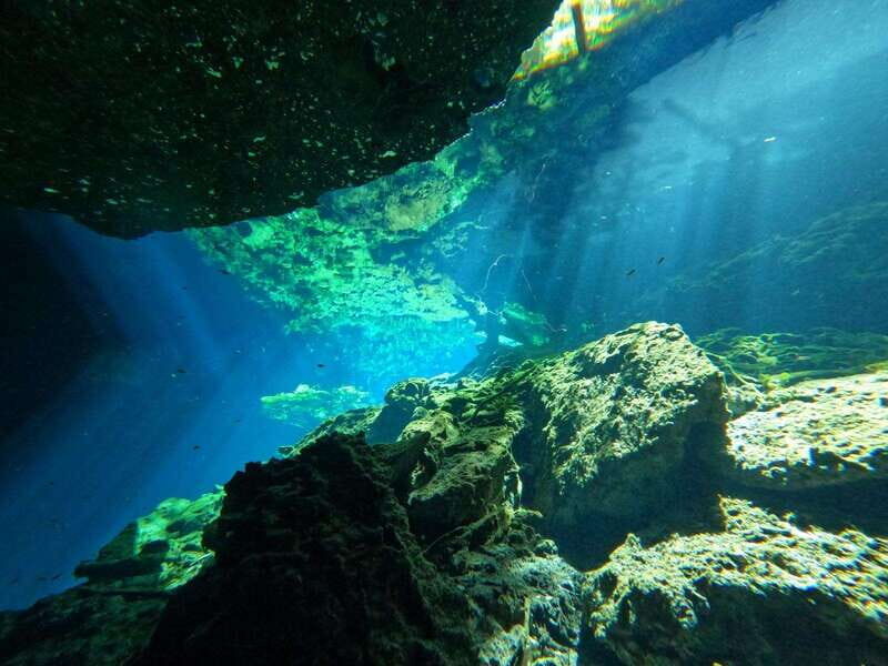Cancun 2 Cenote Dives: The Pit + Nicte Ha - Certified Divers - Final Thoughts: Is This Tour Worth It?
