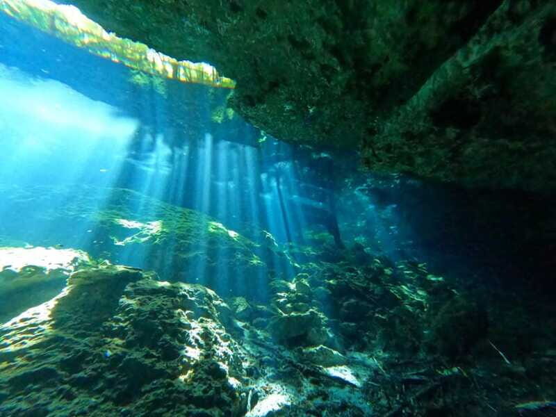 Cancun 2 Cenote Dives: The Pit + Nicte Ha - Certified Divers - Who Should Consider This Tour?