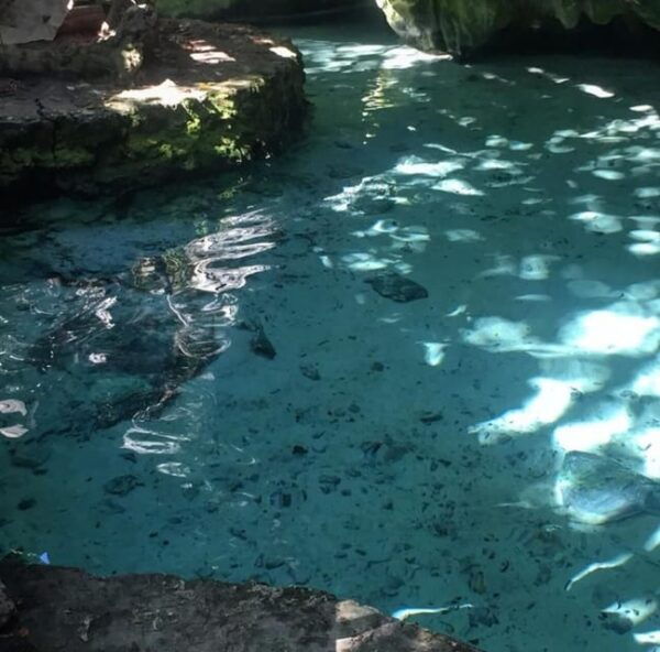 Cancun: 2 Cenotes, 1 Beach & 1 Lagoon - Packing Essentials