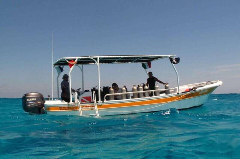 Cancún: 2-Day PADI Open Water Diving Course - Good To Know