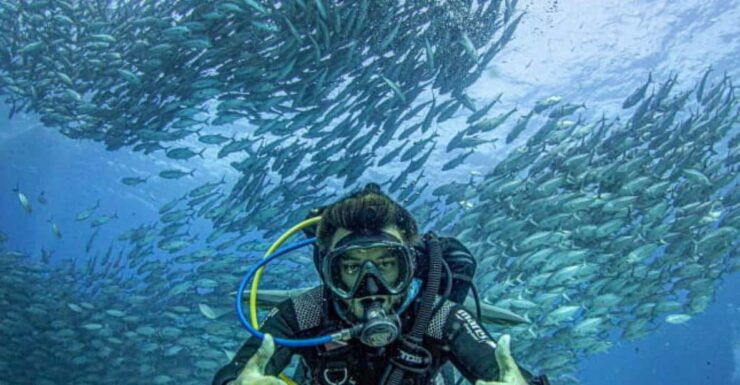 Cancun: 2 Dives: Cenotes Cancun - Maravilla + 7 Bocas - Booking and Cancellation