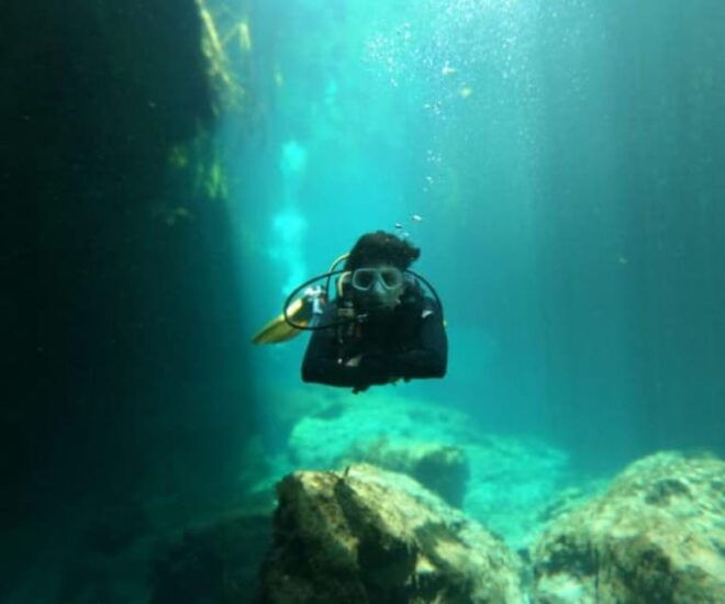 Cancun: 2 Dives: Cenotes The Pit + Dos Ojos - Explore Stunning Cenotes