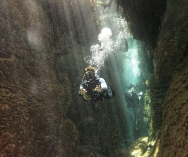 Cancun: 2 Dives: Cenotes The Pit + Dos Ojos - Safety and Instruction
