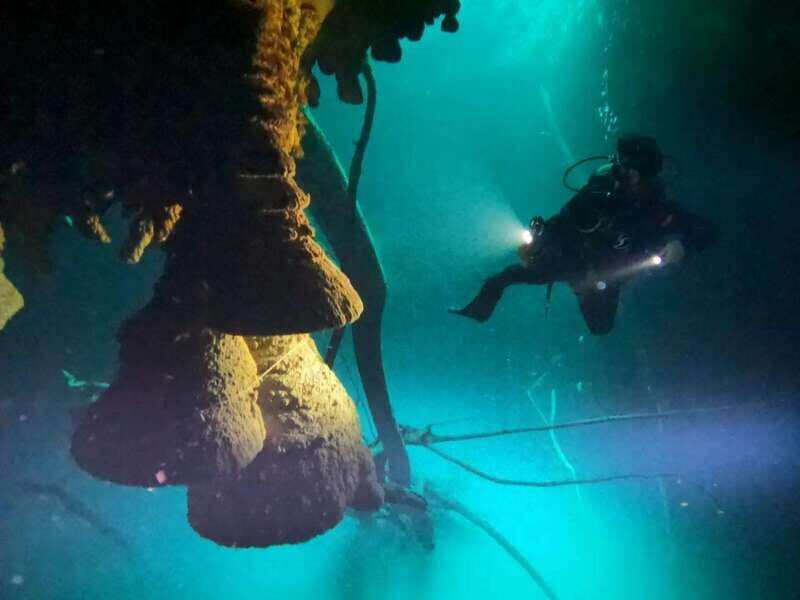 Cancun: 2 Dives in Cenotes Ki Ha + Zapote - Certified Divers - What Makes This Tour Special?